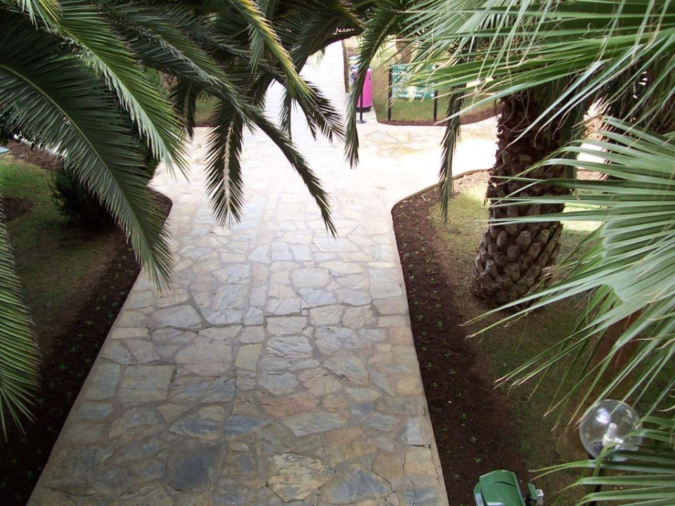 Anlage 2 Arum Barut Collection