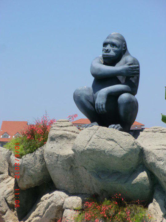 Deko Alba Resort Hotel