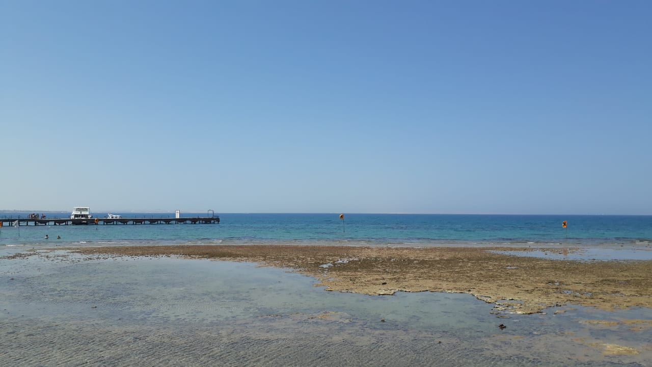Ausblick Desert Rose