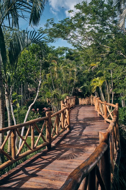 Gartenanlage Iberostar Waves Cozumel