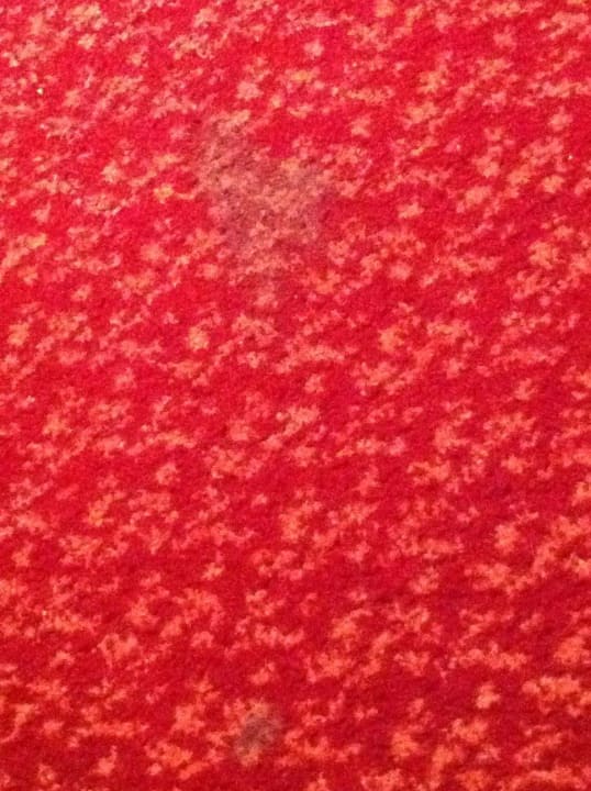 Hotel Holiday Inn Express Frankfurt Airport Holiday Inn Express Frankfurt - Airport