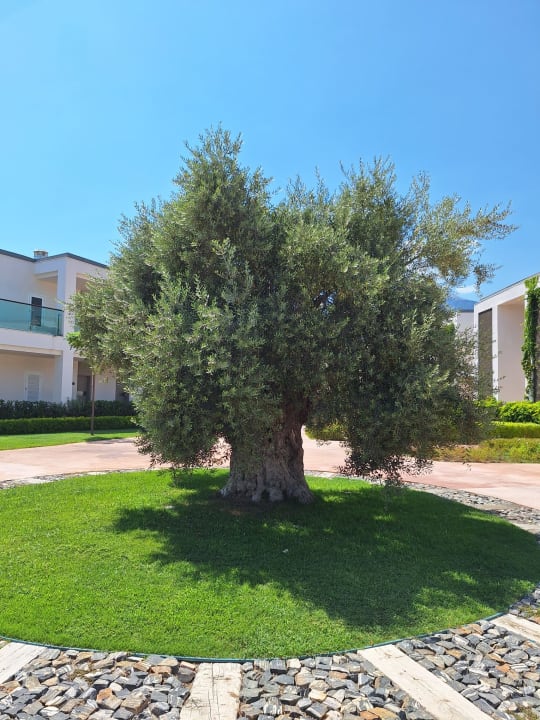 Sonstiges Rixos Premium Tekirova