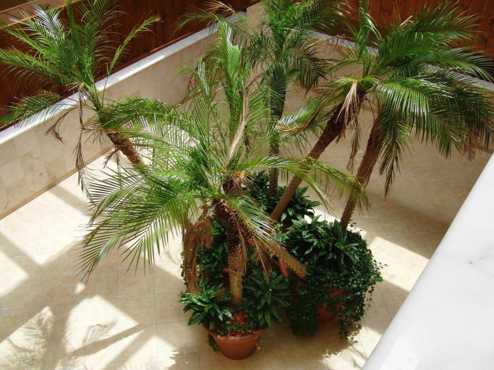 Atrium bei den neuen Zimmern Hotel Kalithea Horizon Royal