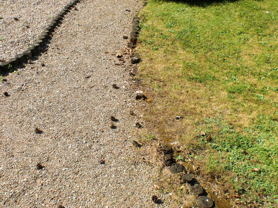 Gartenwege heruntergekommen Hotel 4 Pory Roku