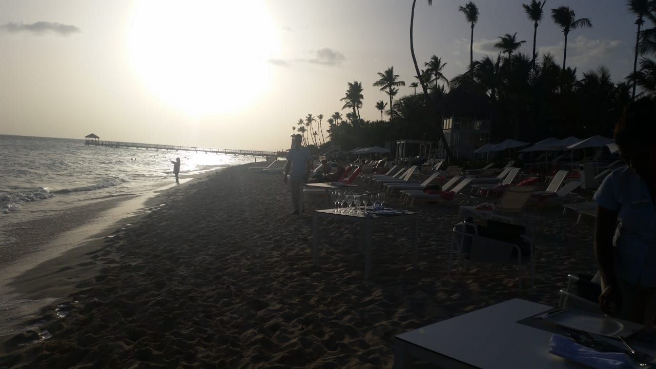 Vorbereitung zum Hummeressen Catalonia Royal La Romana - Adults only