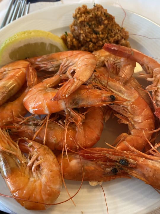 Gastro Sentido Trendy Verbena Beach