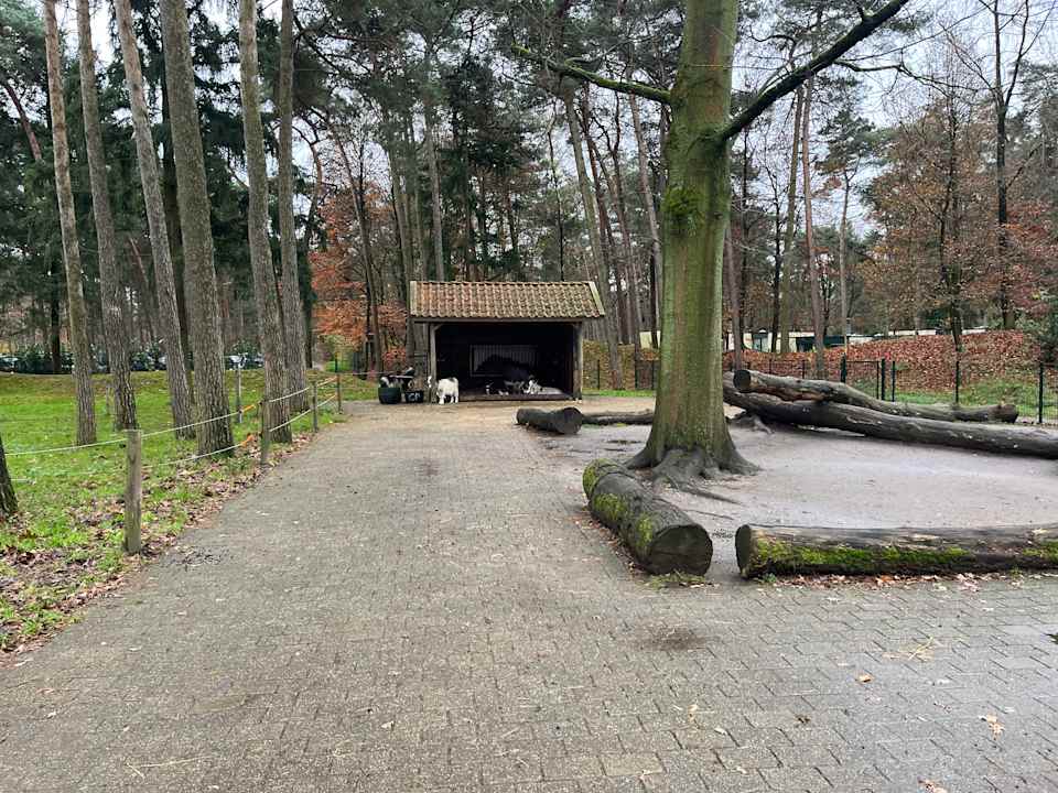 Sport & Freizeit Center Parcs De Kempervennen