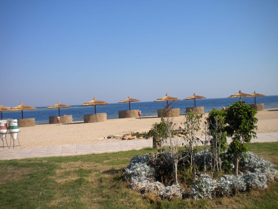 Blick zum Strand beim Essen Coral Sun Beach