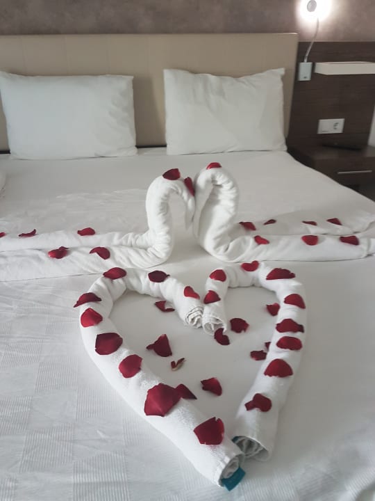 Zimmer Gold Island Selected