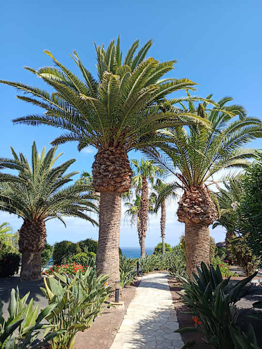 Gartenanlage Marina Playa Suite Hotel