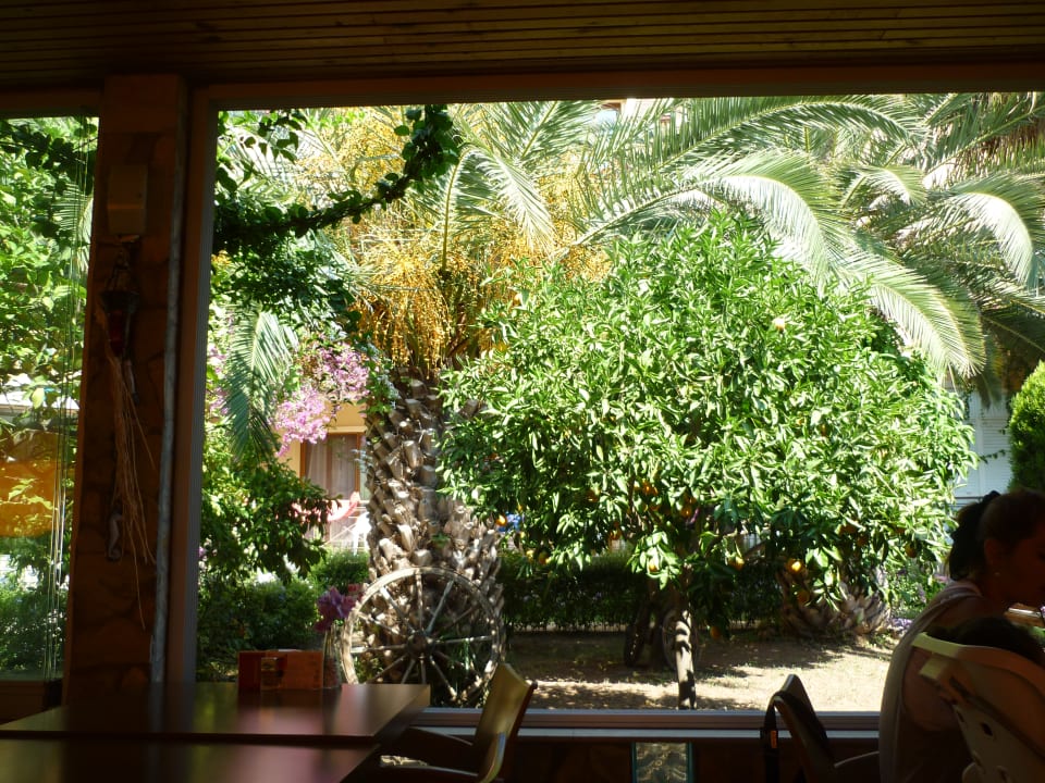 Gartenanlage Papirus Hotel