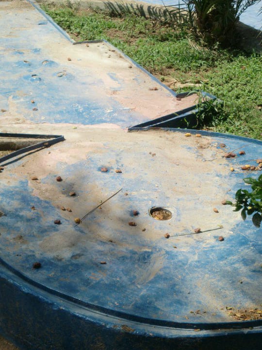 Minigolf? Nein Danke Giftun Azur Resort