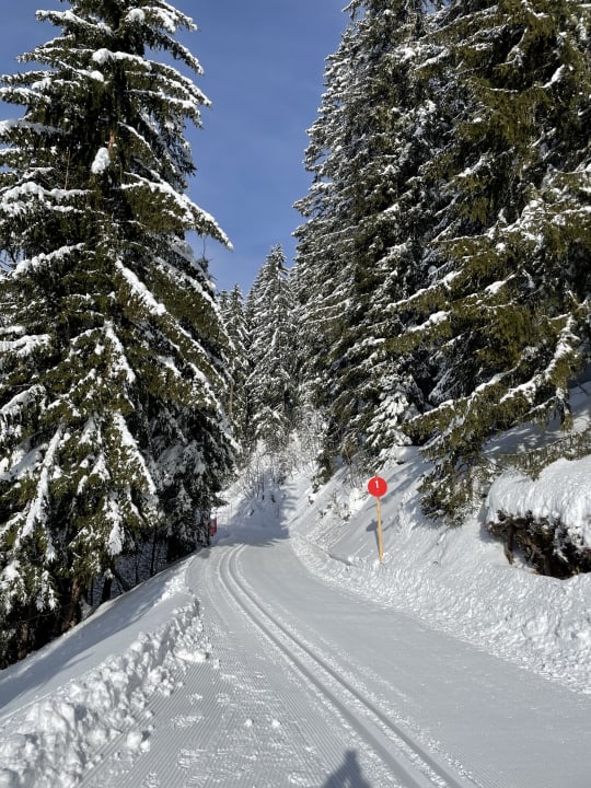 Sport & Freizeit Panoramagasthof Kristberg