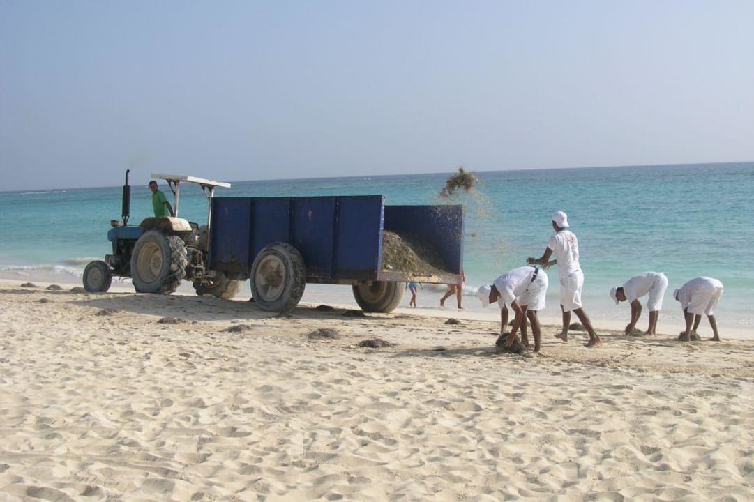 Aufräumarbeiten am Strand Hotel Riu Bambu