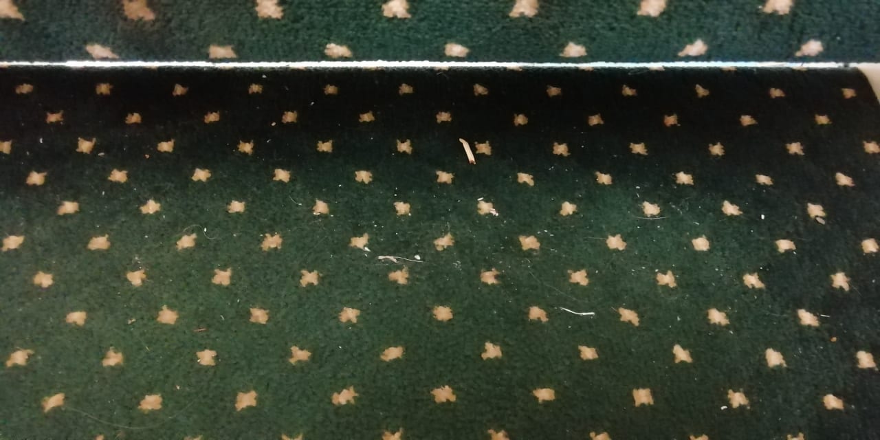 Sonstiges Berghotel Hoher Knochen