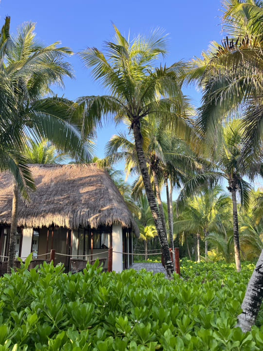 Gartenanlage Akumal Bay Beach & Wellness Resort