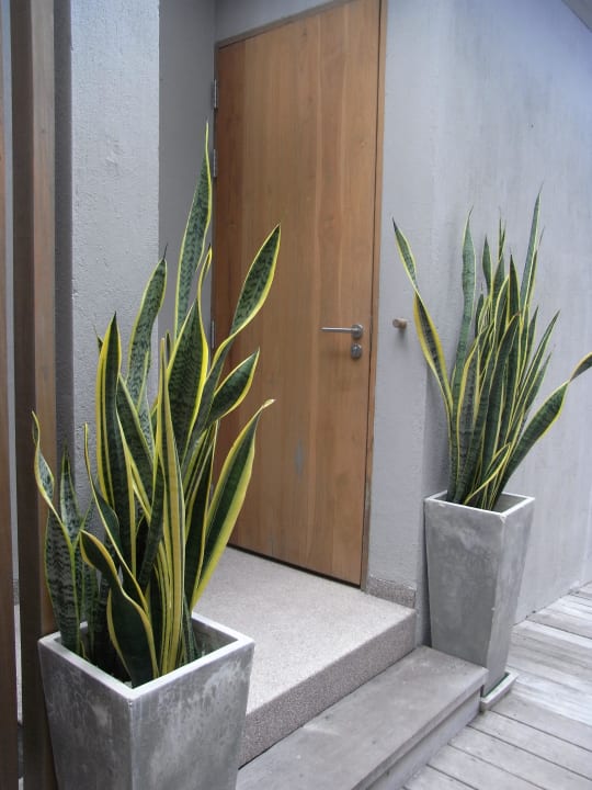 Eingangsbereich Premier Pool Villa Sai Kaew Beach Resort