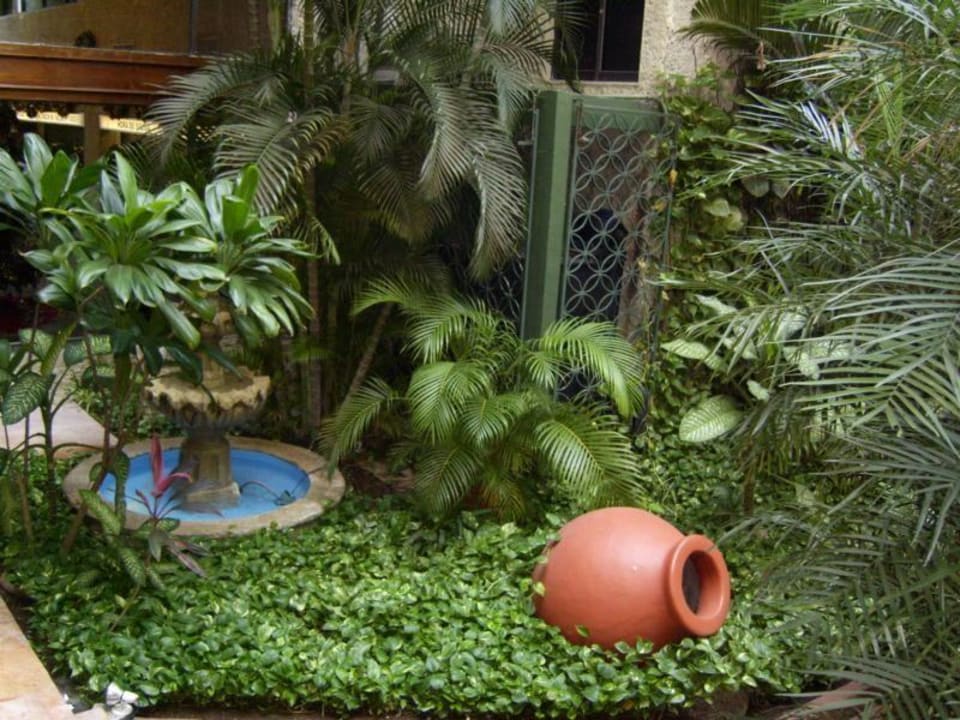 Kleiner Botanischer Garten im Hotelinnerem Hotel Los Aluxes