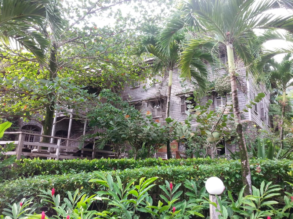 Rezeptionsgebäude Hotel Jungle Bay Resort & Spa