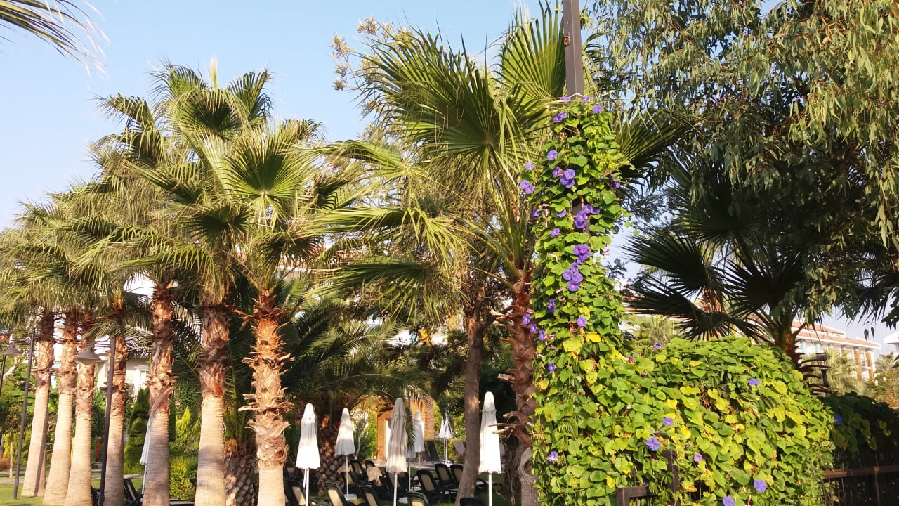 Gartenanlage Belek Beach Resort Hotel