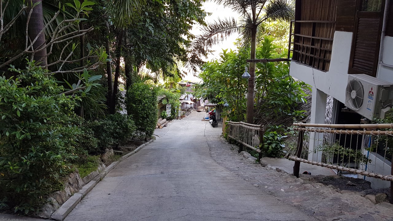 Gartenanlage Cookies Salad Resort