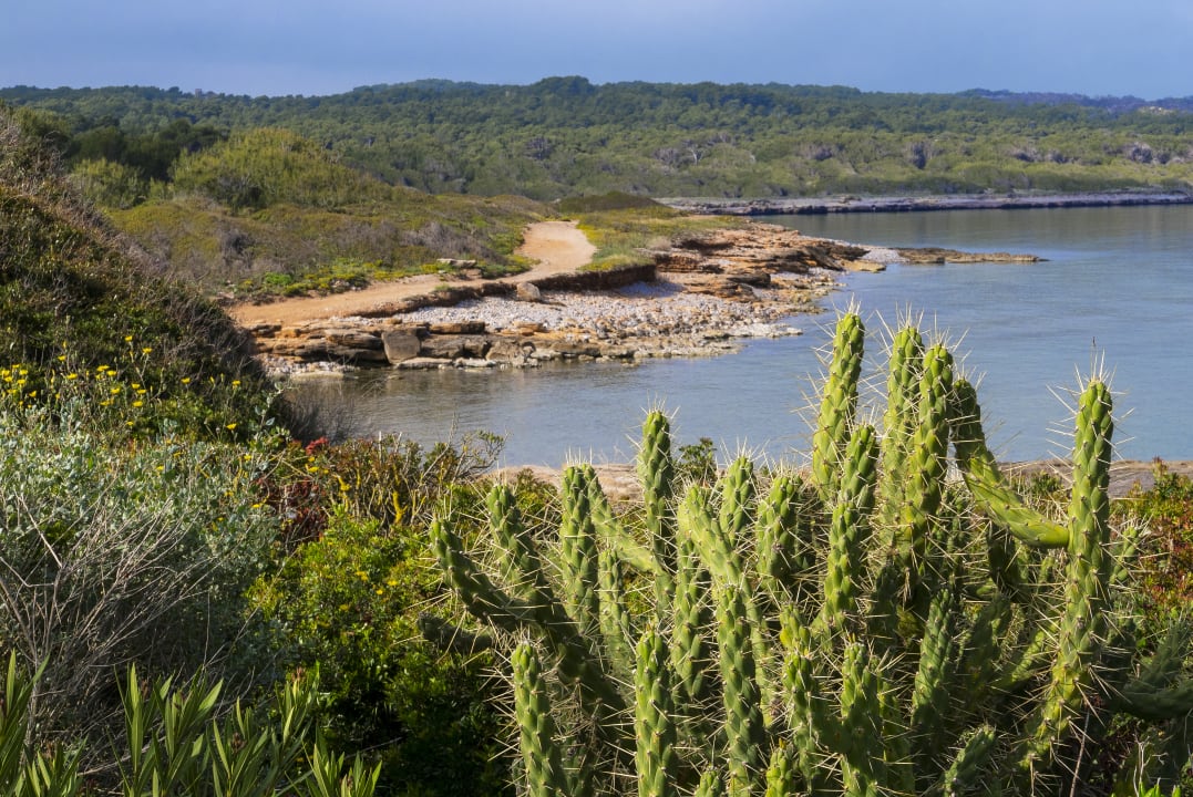 Sonstiges Es Blau des Nord