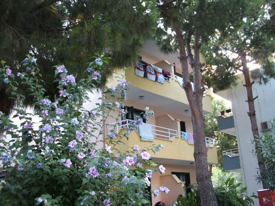 Wohneinhet Club Sidelya Hotel
