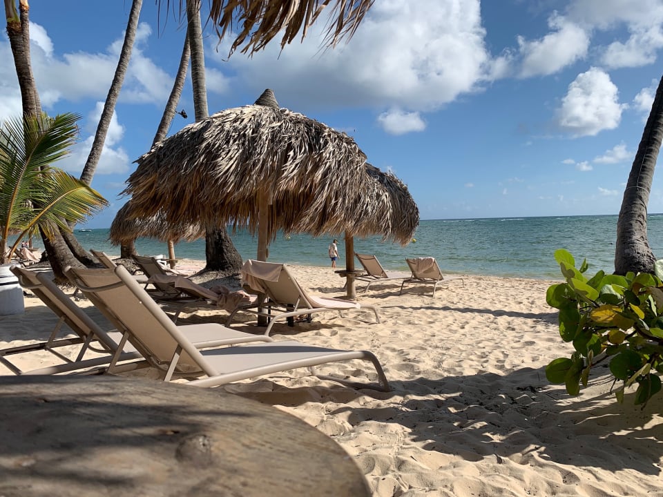 Strand TRS Turquesa Hotel - Adults only