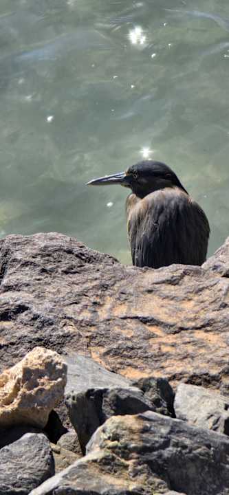 Strand Makadi Spa - Adults only