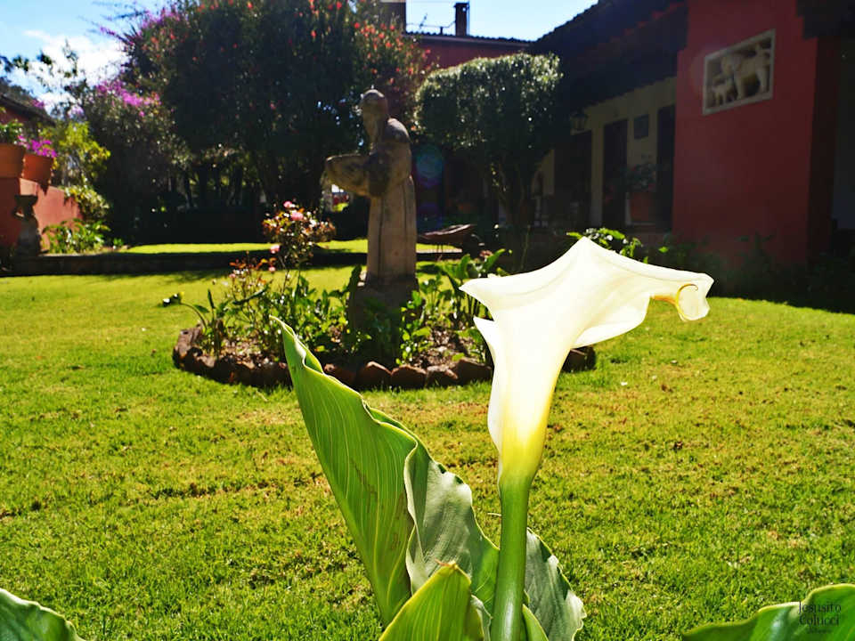 Jardín Hotel Mision Patzcuaro