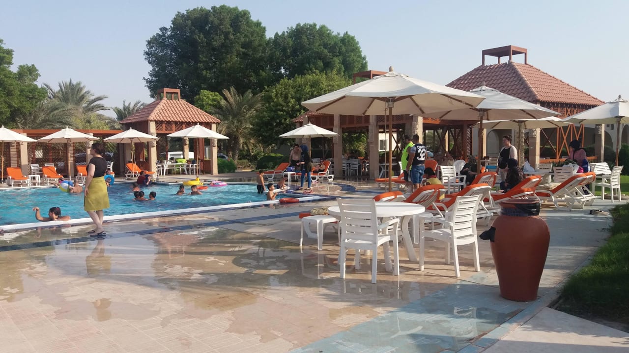 Das sind die Tagesgäste um 11 Uhr am Morgen  Umm Al Quwain Beach Hotel