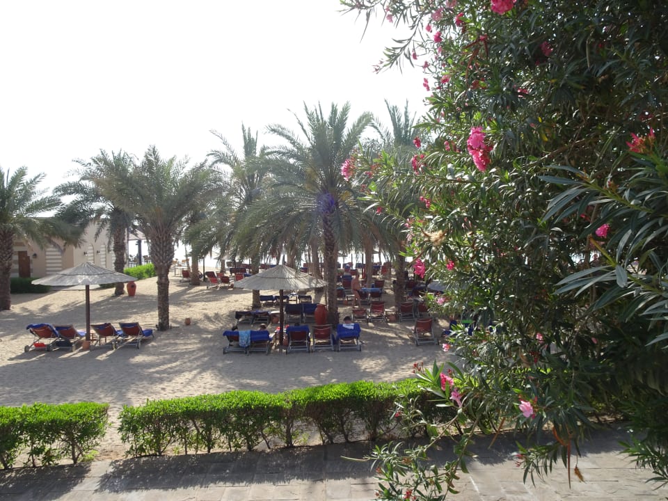 Strand Miramar Al Aqah Beach Resort