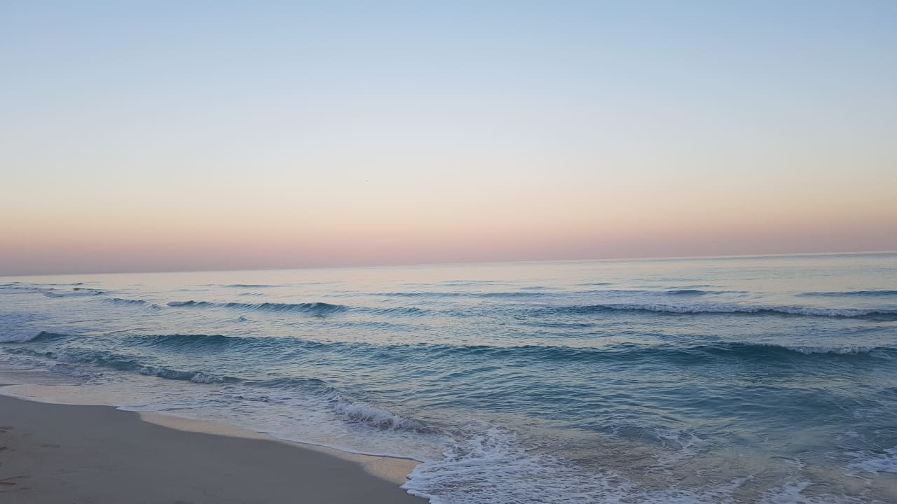 Strand Starfish Cuatro Palmas