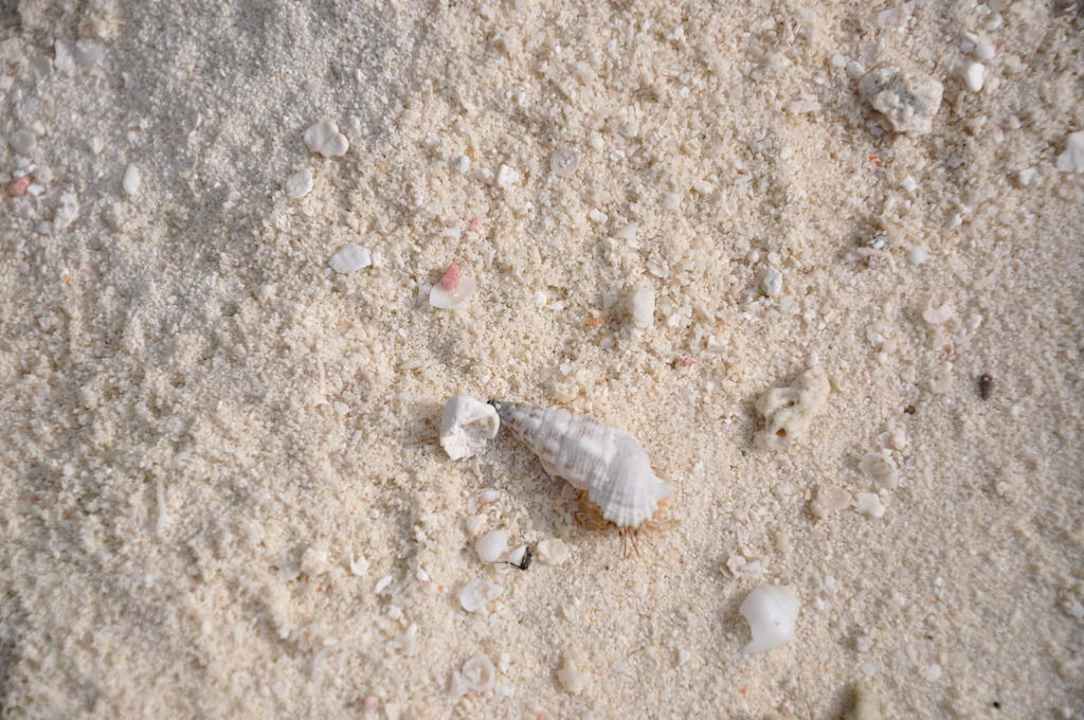 Summer Island Village Summer Island Maldives