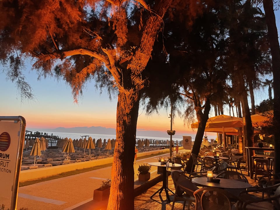 Gastro Arum Barut Collection