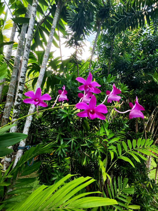 Gartenanlage Pahalage Guesthouse