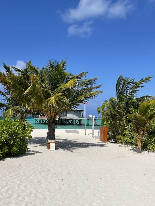 Strand Centara Ras Fushi Resort & Spa Maldives