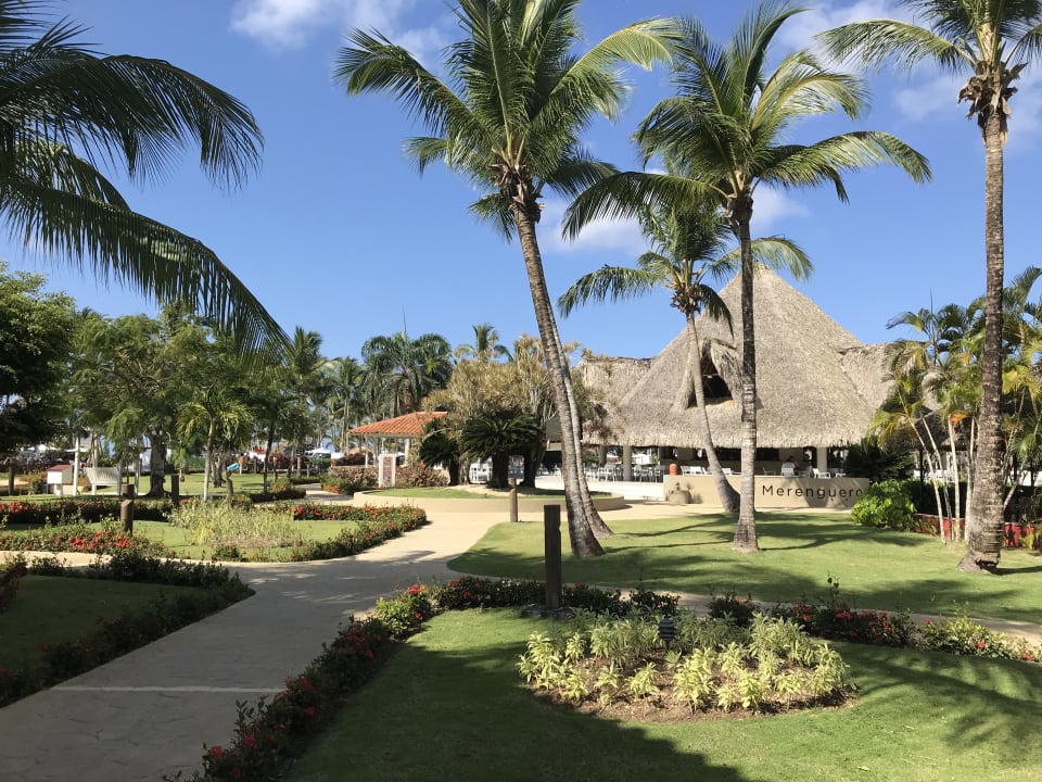 Gartenanlage Catalonia Royal La Romana - Adults only