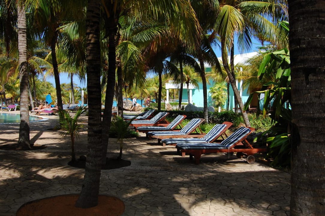 Pool im Normalbereich Paradisus Varadero Resort & Spa