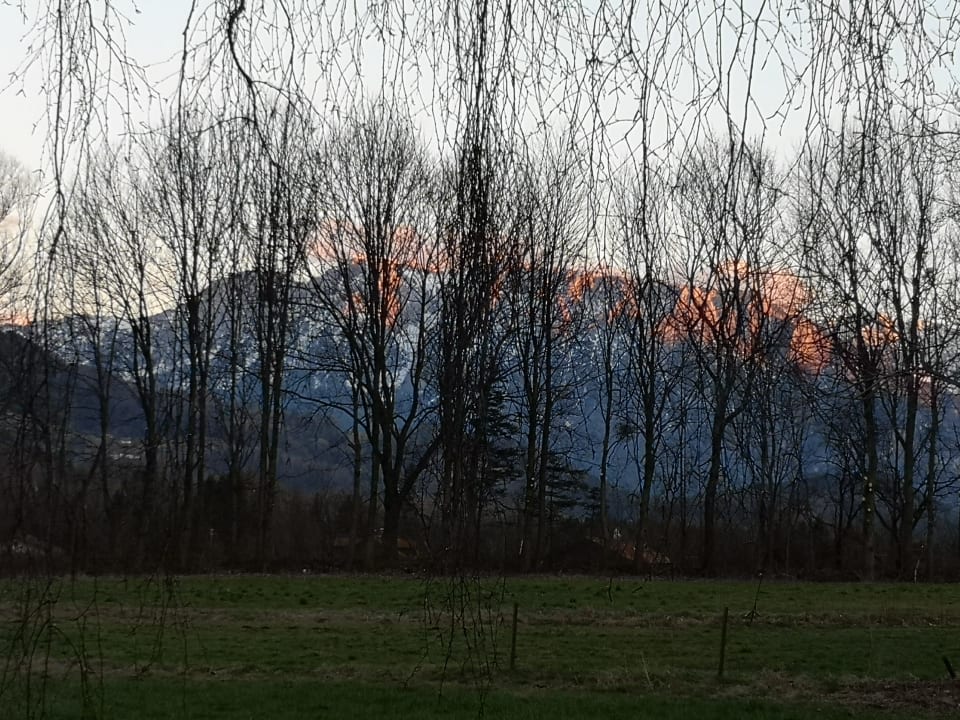 Außenansicht Ferienwohnung Riederhof
