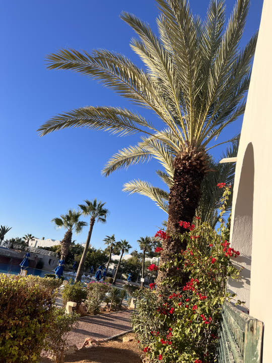 Lobby Royal Karthago Djerba