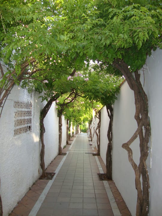 Sonstiges Hotel Best Siroco