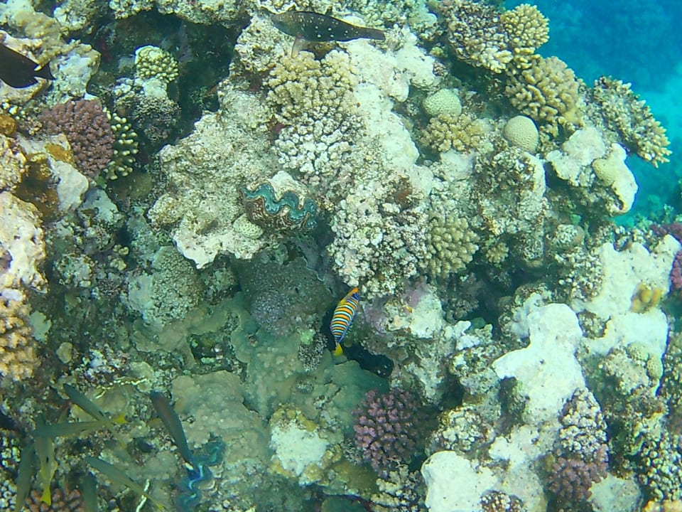 Strand Three Corners Sea Beach Resort