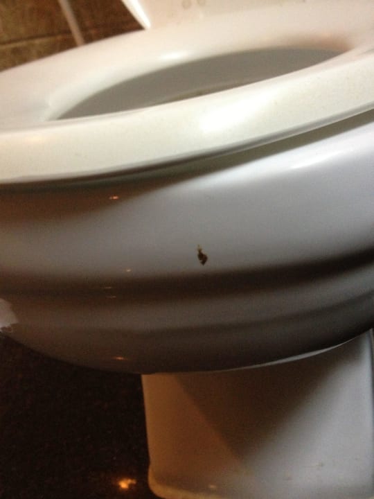 Shit on toilet  Hotel Grand Jomtien Palace