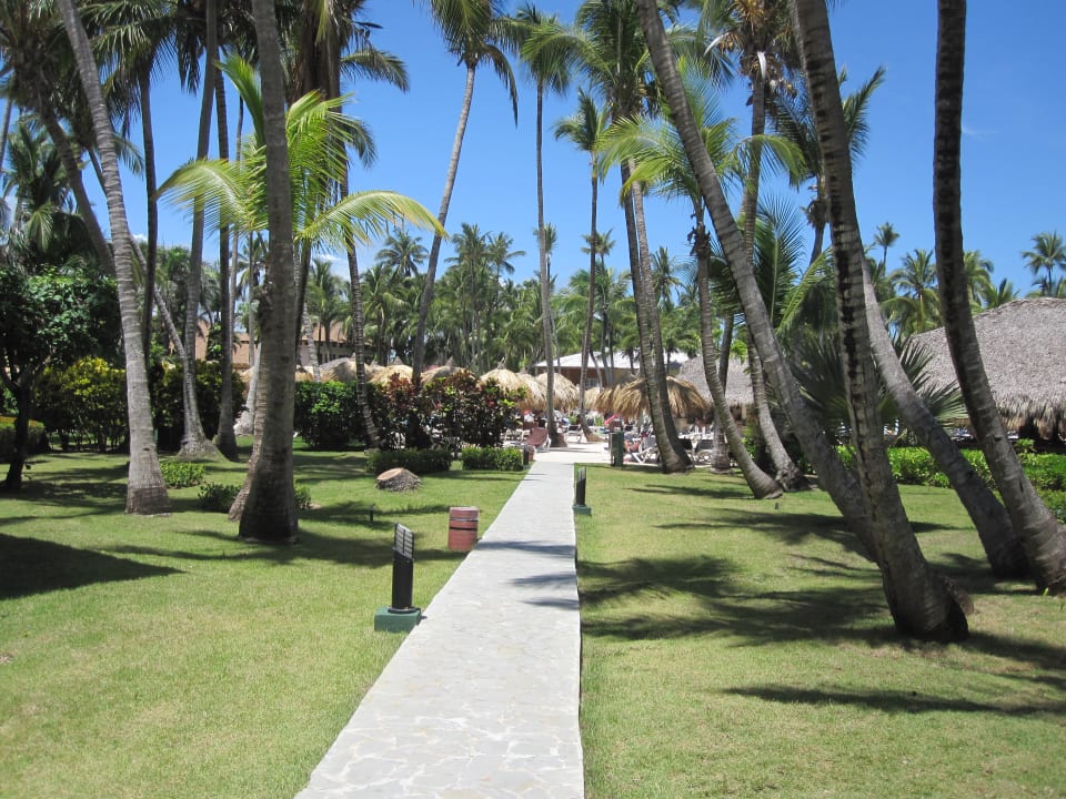 Gartenanlage Hotel Grand Palladium Palace Resort, Spa & Casino