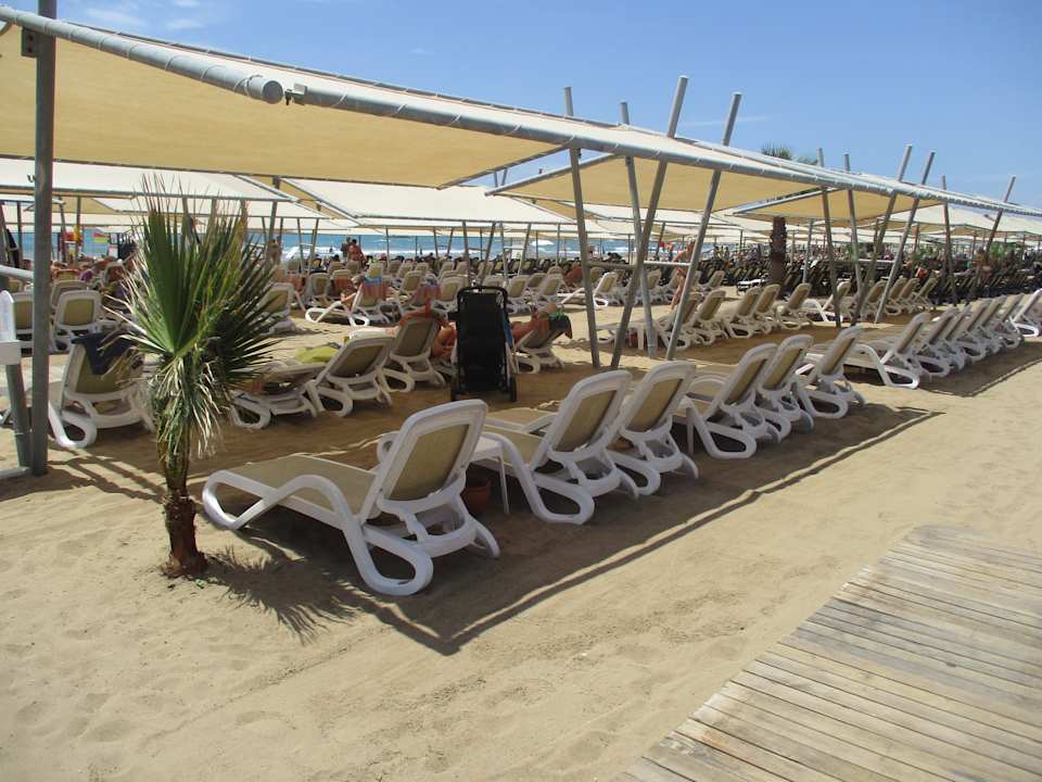 Strand Royal Taj Mahal Hotel