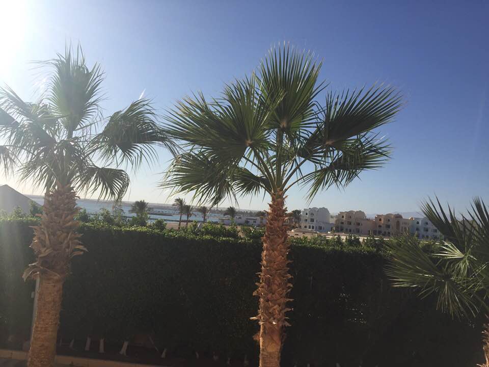 Außenansicht Pickalbatros Palace Resort
