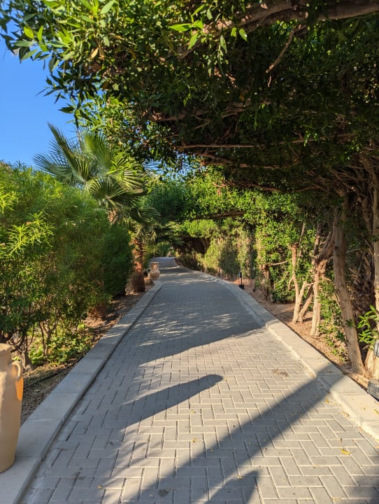 Gartenanlage Jaz Makadi Oasis Resort