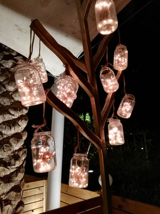 Sonstiges Desert Rose