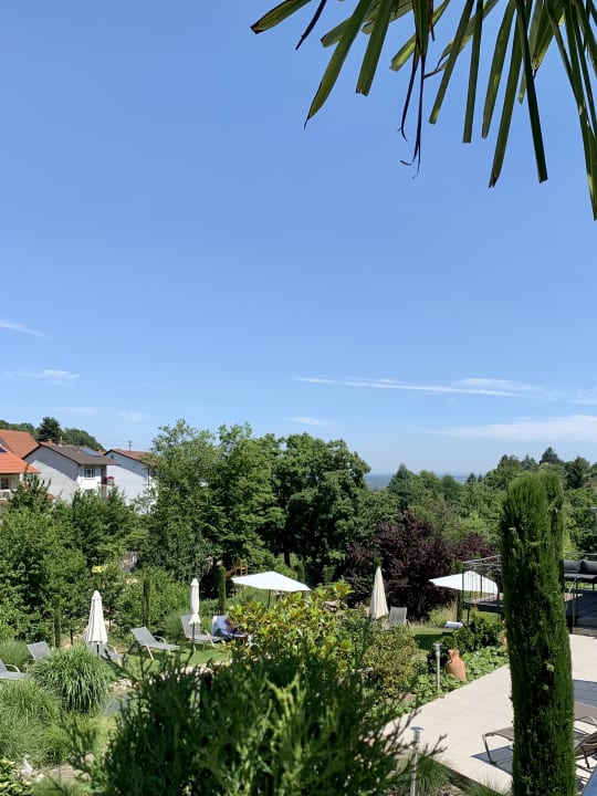 Gartenanlage Wiedemann's Weinhotel